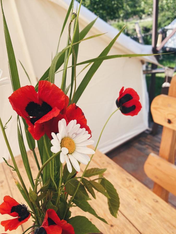 דיליג'אן Hovek Guest House מראה חיצוני תמונה
